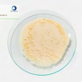 PQ-10 | Polyquaternium-10 | 68610-92-4